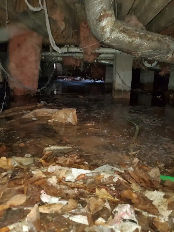 Crawl space flood assessment for Leak Detection & Repair in Franklin