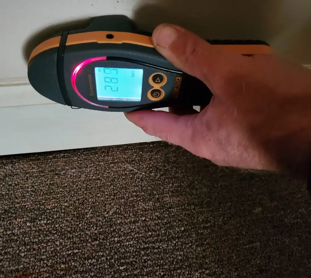 Moisture detection at baseboard during Burst Pipe Cleanup in Franklin